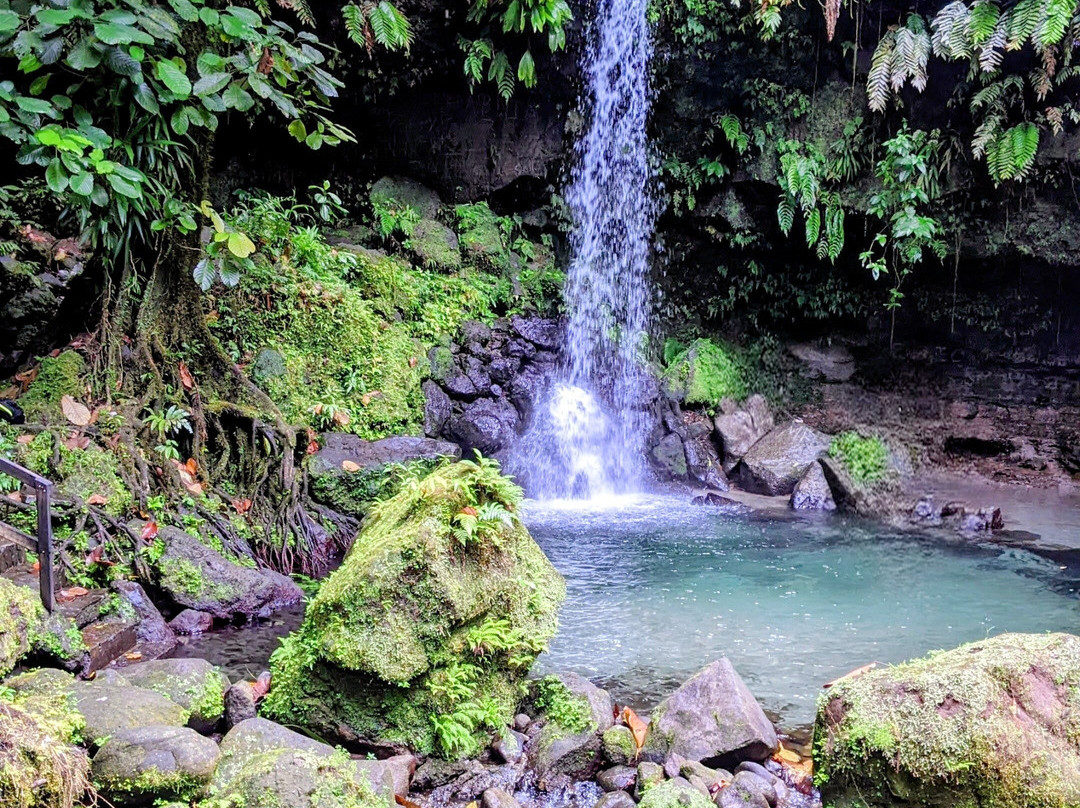 Waitukubuli Adventure Tour Co.-罗索必去景点