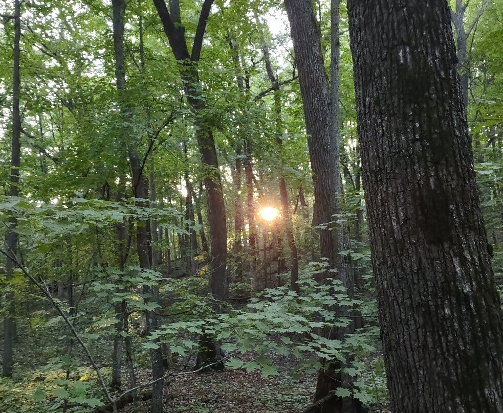 Lake Maria State Park-Monticello必去景点