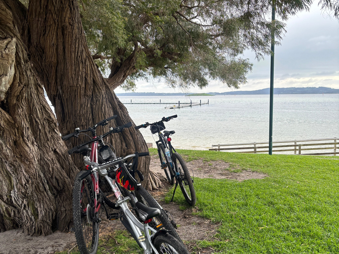 Albany Bicycle Hire-奥尔巴尼必去景点
