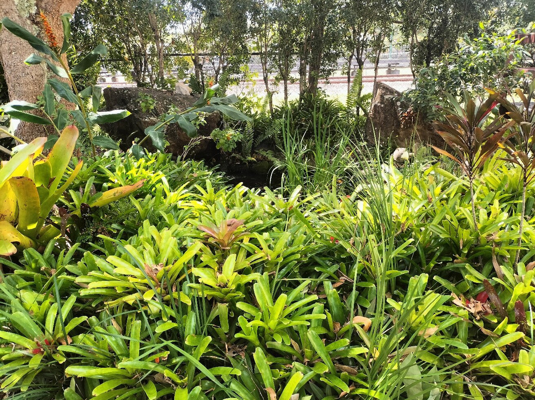 Pomona Railway Station Gallery