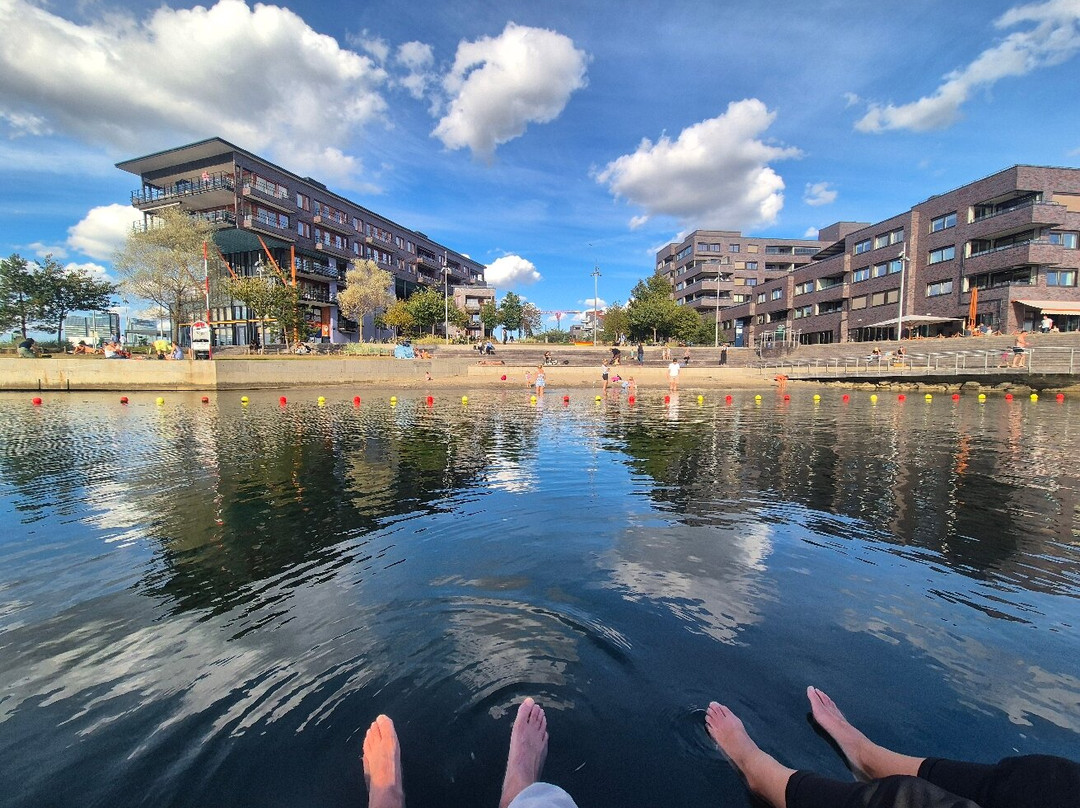 Soerenga Public Pool-奥斯陆必去景点