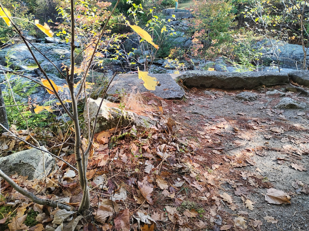 Snow Falls-West Paris必去景点