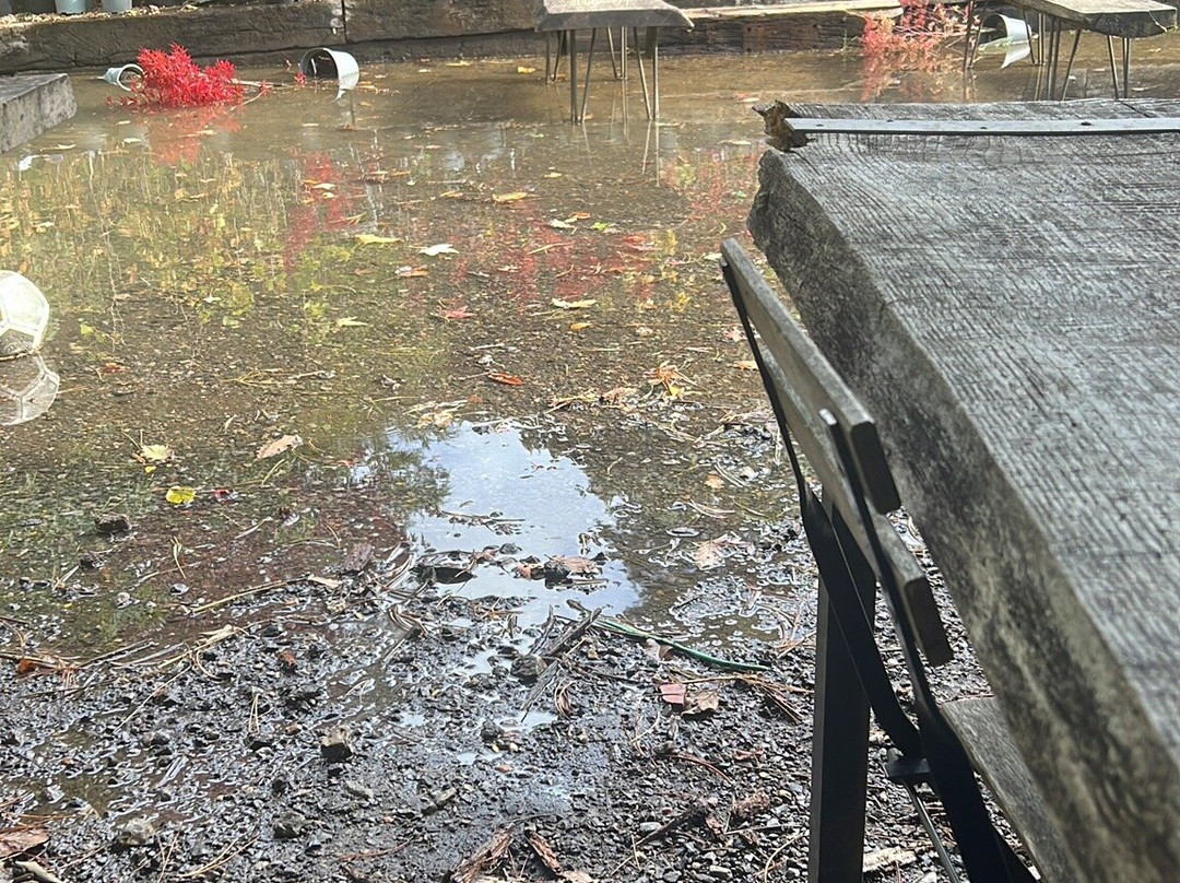 Reuthe's The Lost Gardens Of Sevenoaks-Sevenoaks必去景点