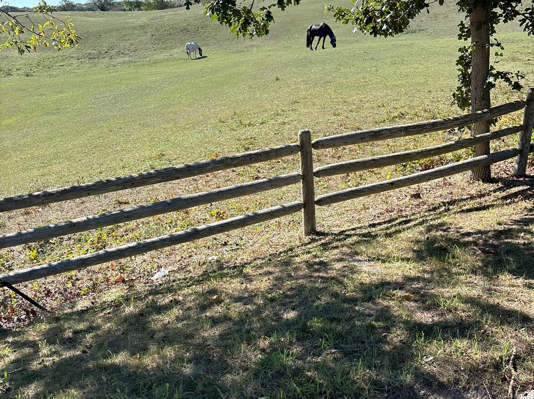 Morning Glory Farm-Edgartown必去景点