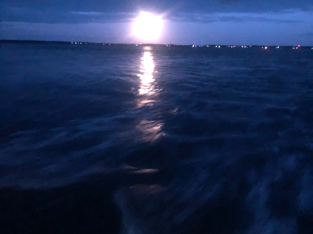 Lookout Cruises-Beaufort必去景点