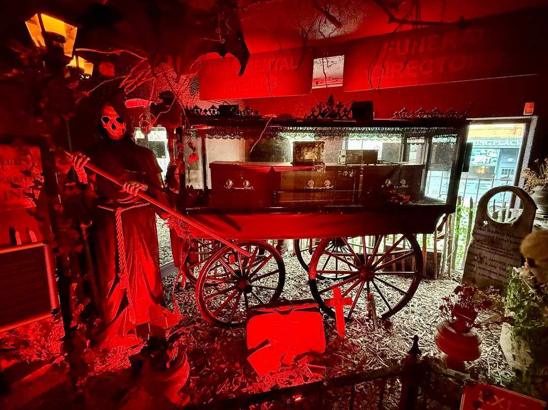 The Museum Of Curiosities-诺丁汉必去景点