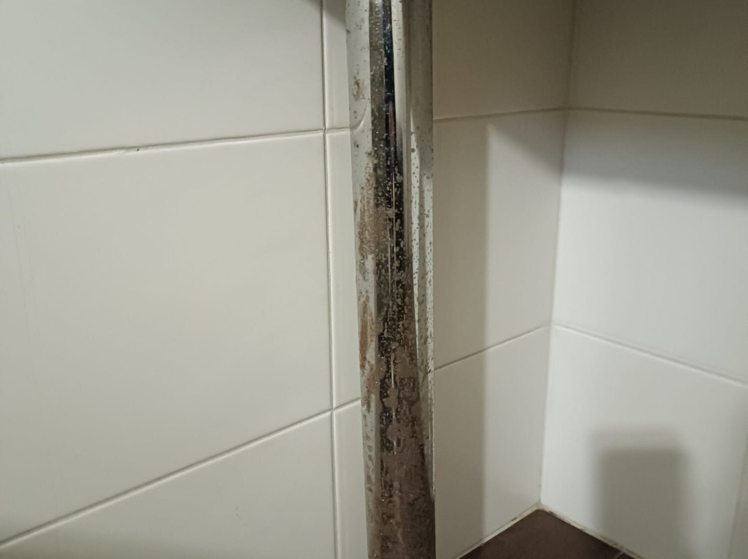 瑞莱斯布斯里昂德之家酒店主图