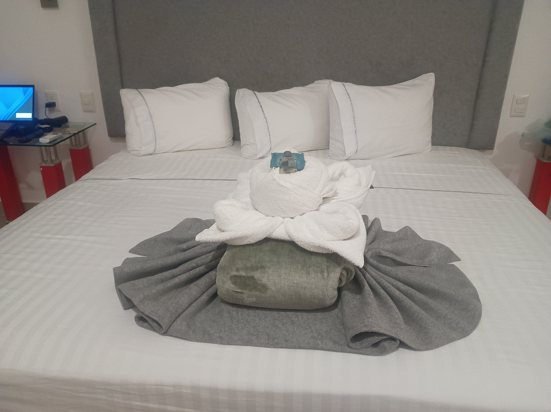 Hotel Zar Coatzacoalcos主图