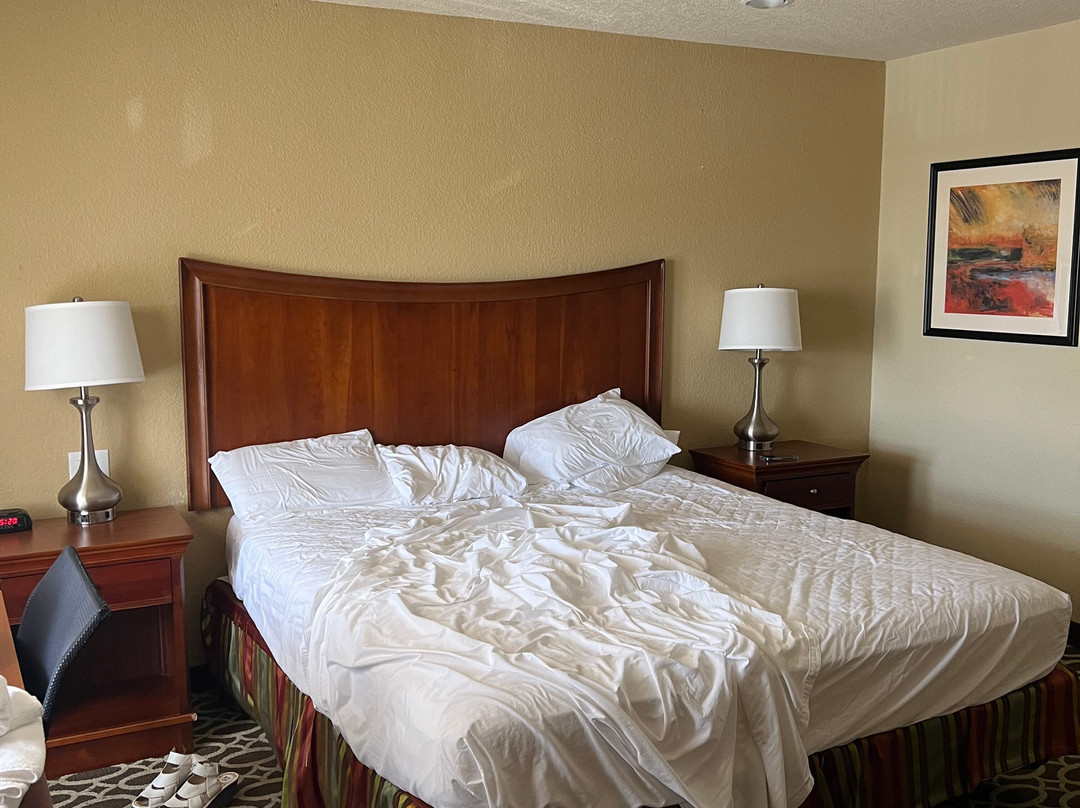 Sunday House Inn主图