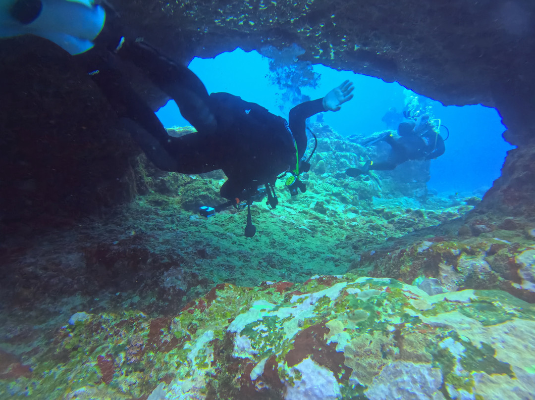 Scuba World Diving Mauritius-马喜埔必去景点