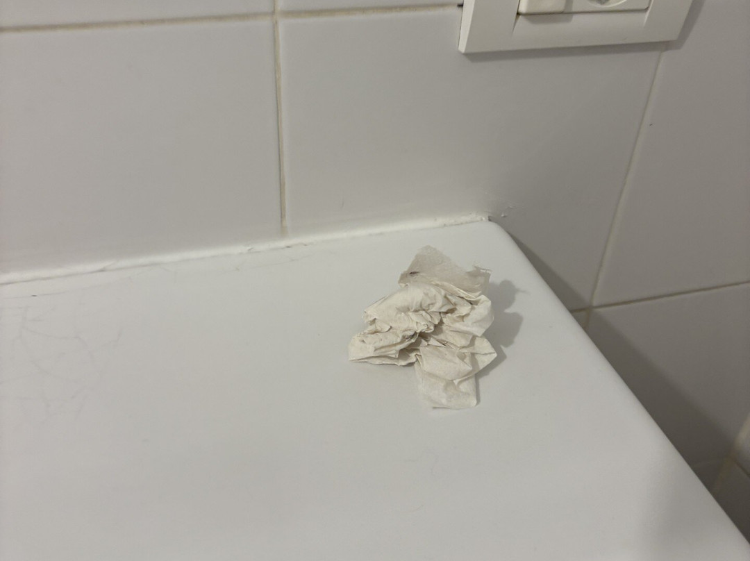 B&B Il Gattopardo Firenze主图