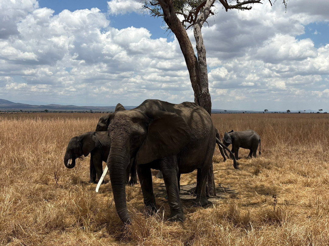 Dream Dhow Zanzibar-Kendwa必去景点