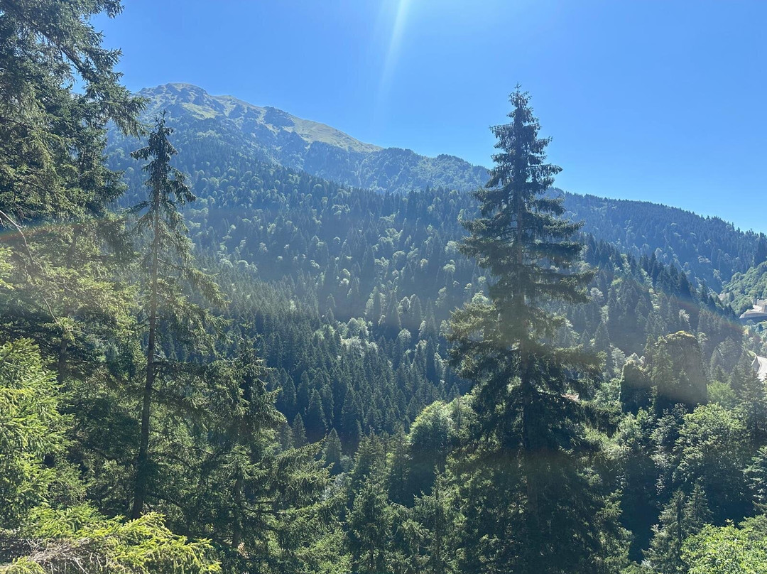 Altindere Vadisi National Park-特拉布宗省必去景点