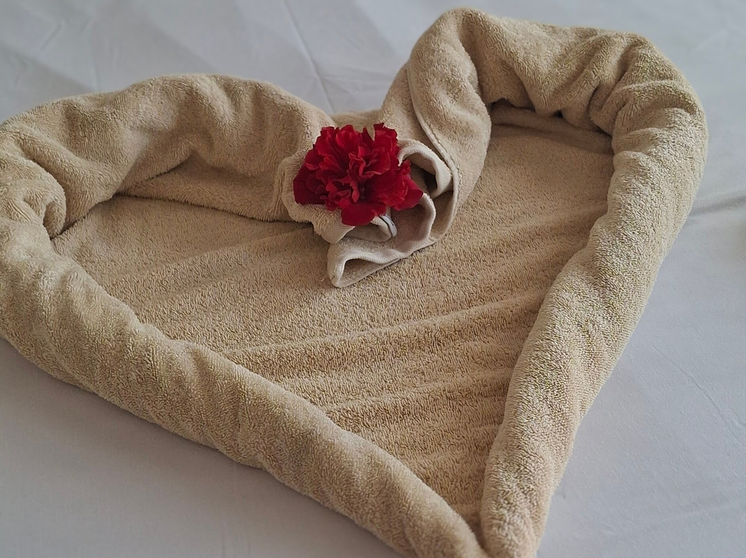 JAZ Neo Reef Marsa主图