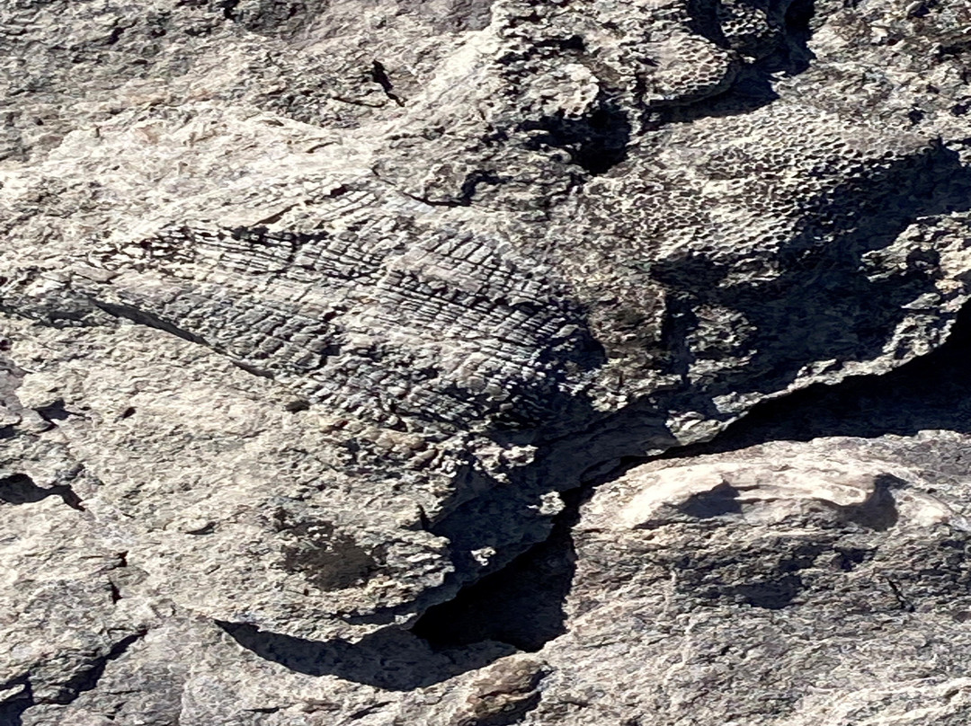Rockport State Park-Alpena必去景点