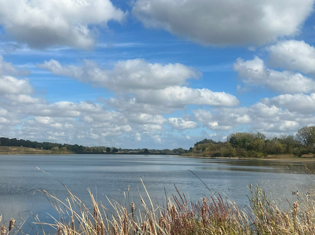 Van Patten Woods Forest Preserve