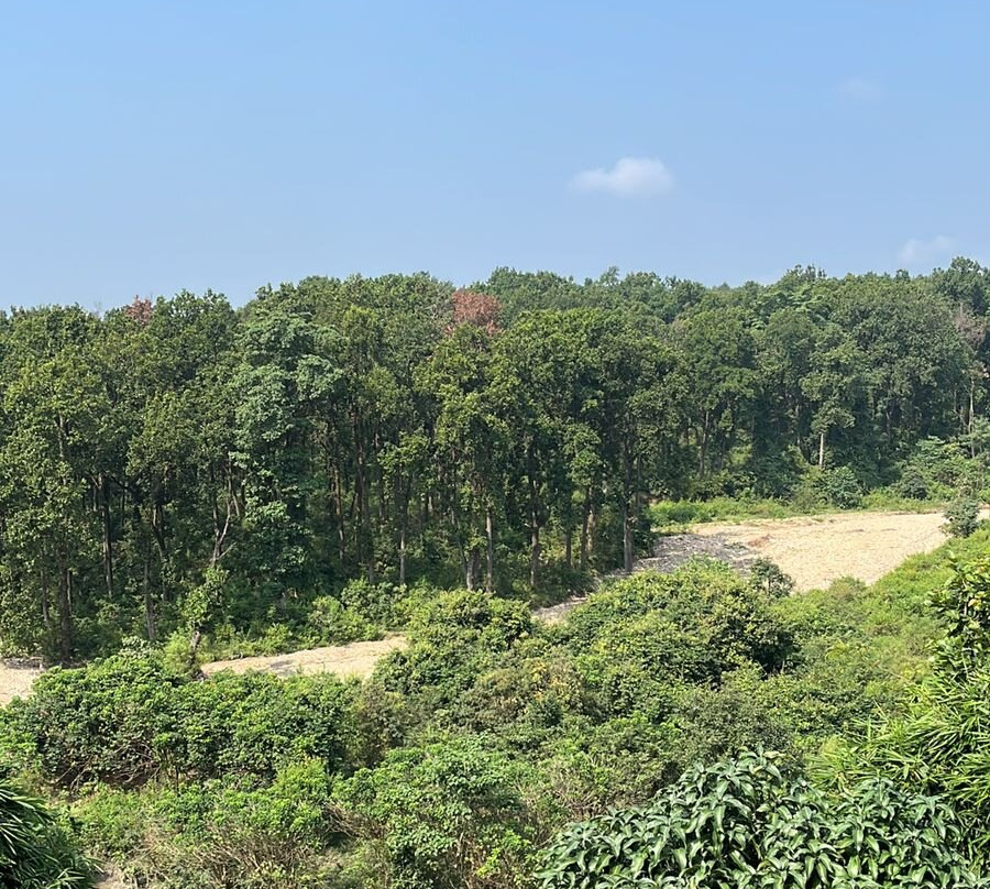 AAR Resort & Spa主图