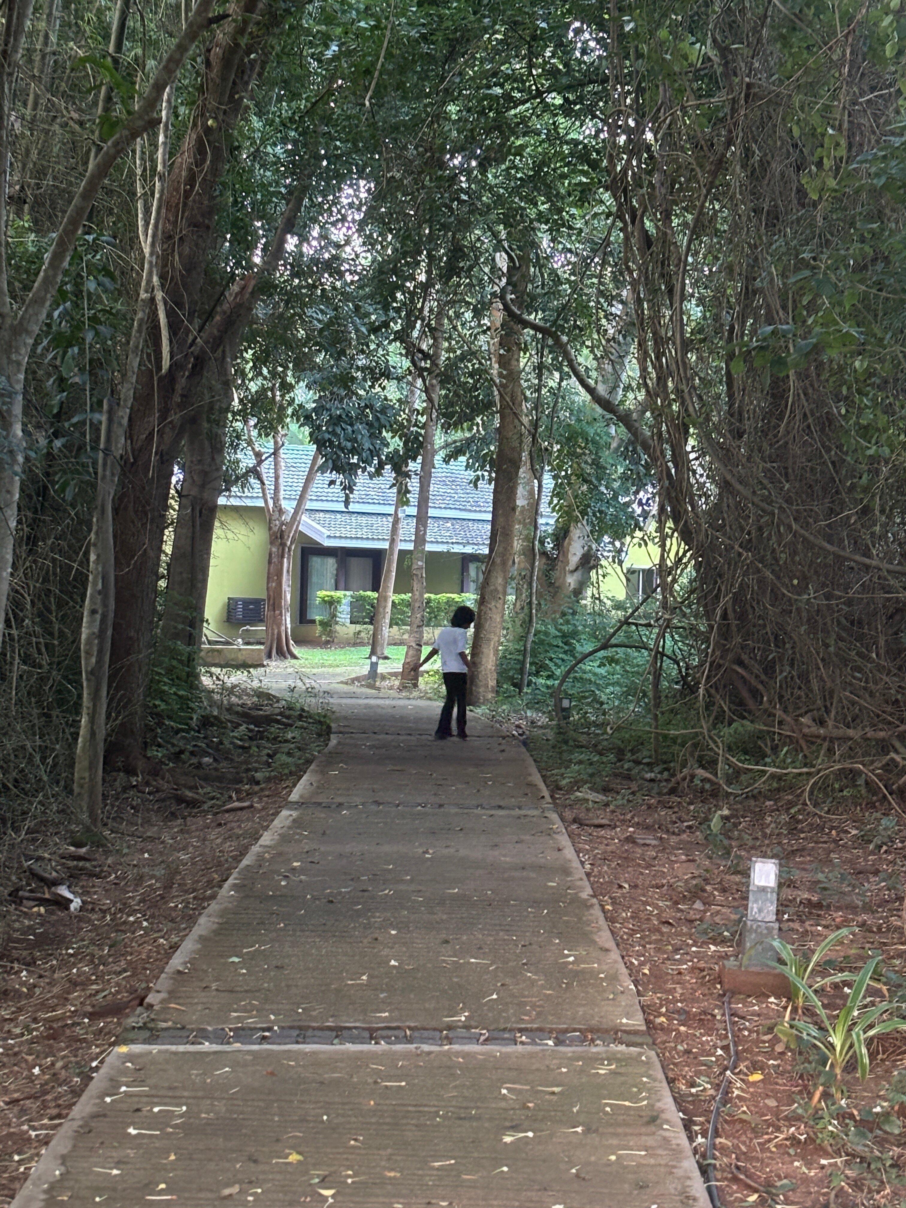 The Serai Kabini-浴室