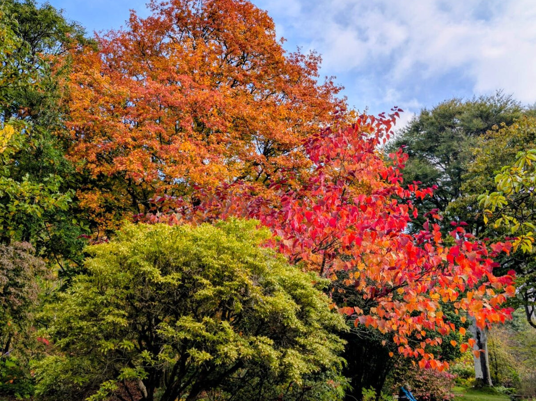 Bodnant Garden-Tal-y-Cafn必去景点