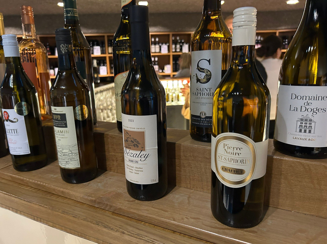 Lavaux Vinorama-Rivaz必去景点