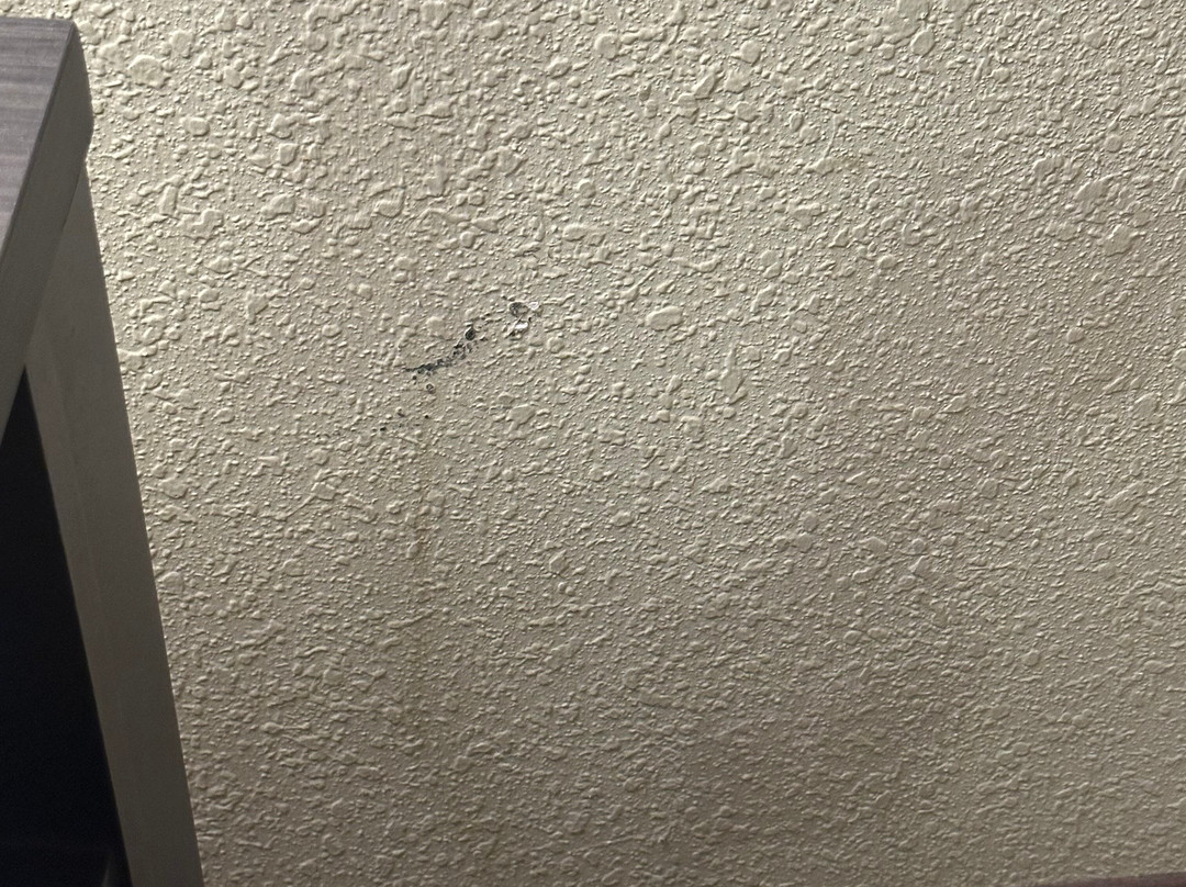 Candlewood Suites Bloomington By IHG主图