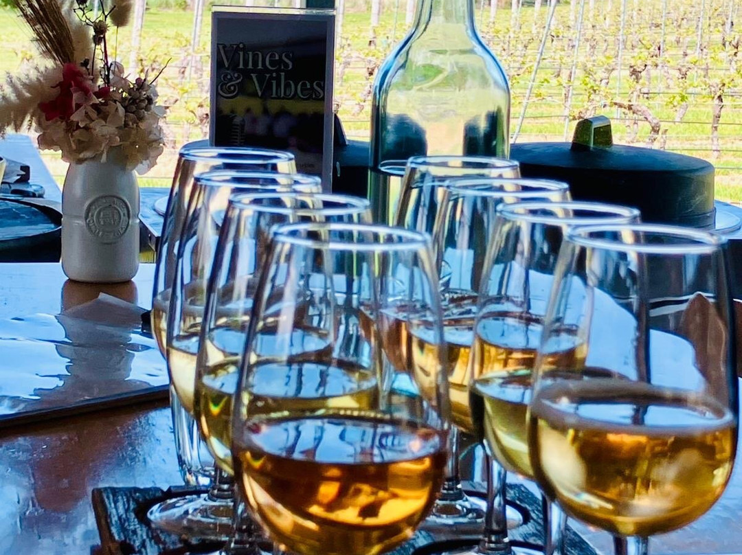 Four Winds Vineyard-穆任百特曼必去景点