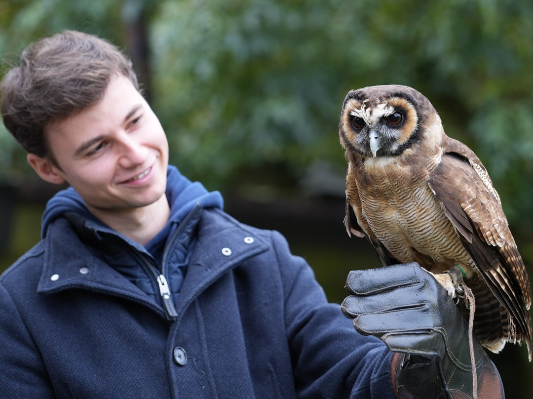 Le Jardin des Hiboux-Bievre必去景点