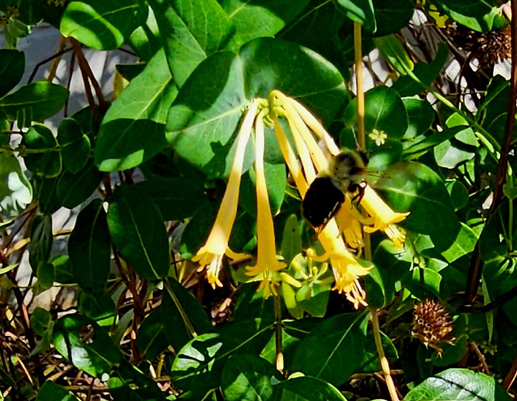 Harford County Agricultural Center