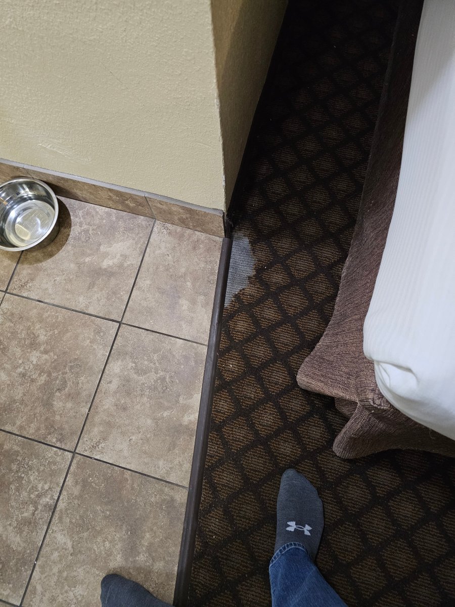 柯奇豪斯贝斯特韦斯特优质酒店-官方