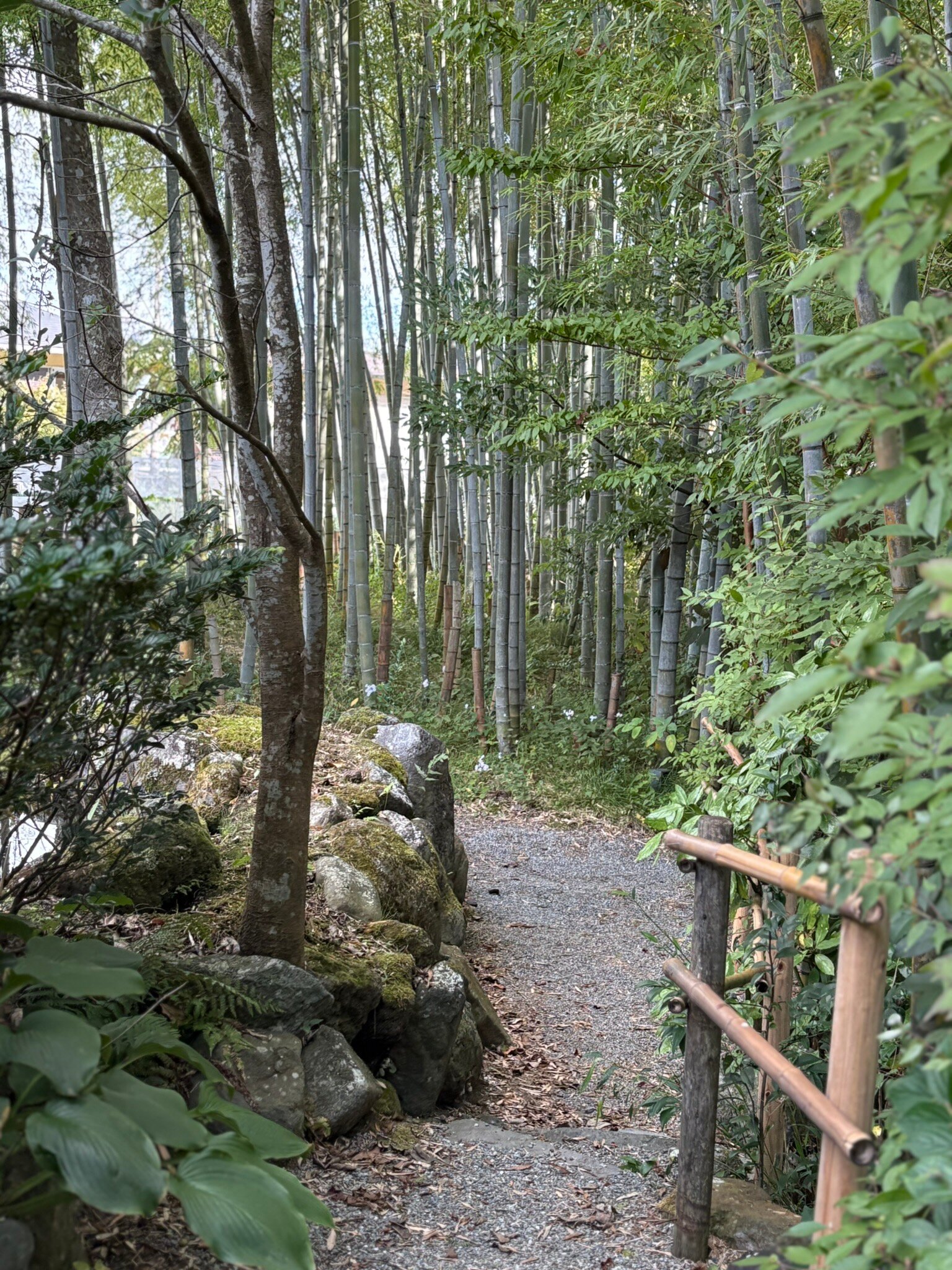 御殿场火星花园木酒店-官方