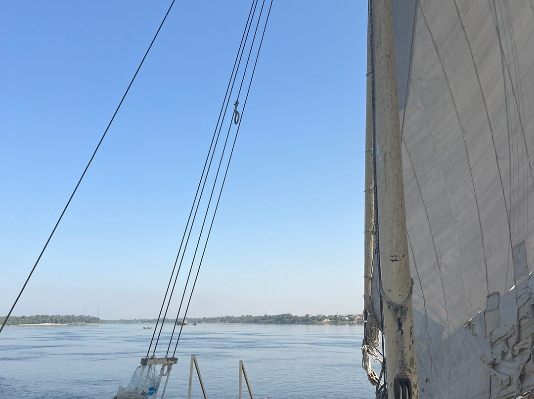 Hamdy Cook Felucca-亚斯文必去景点