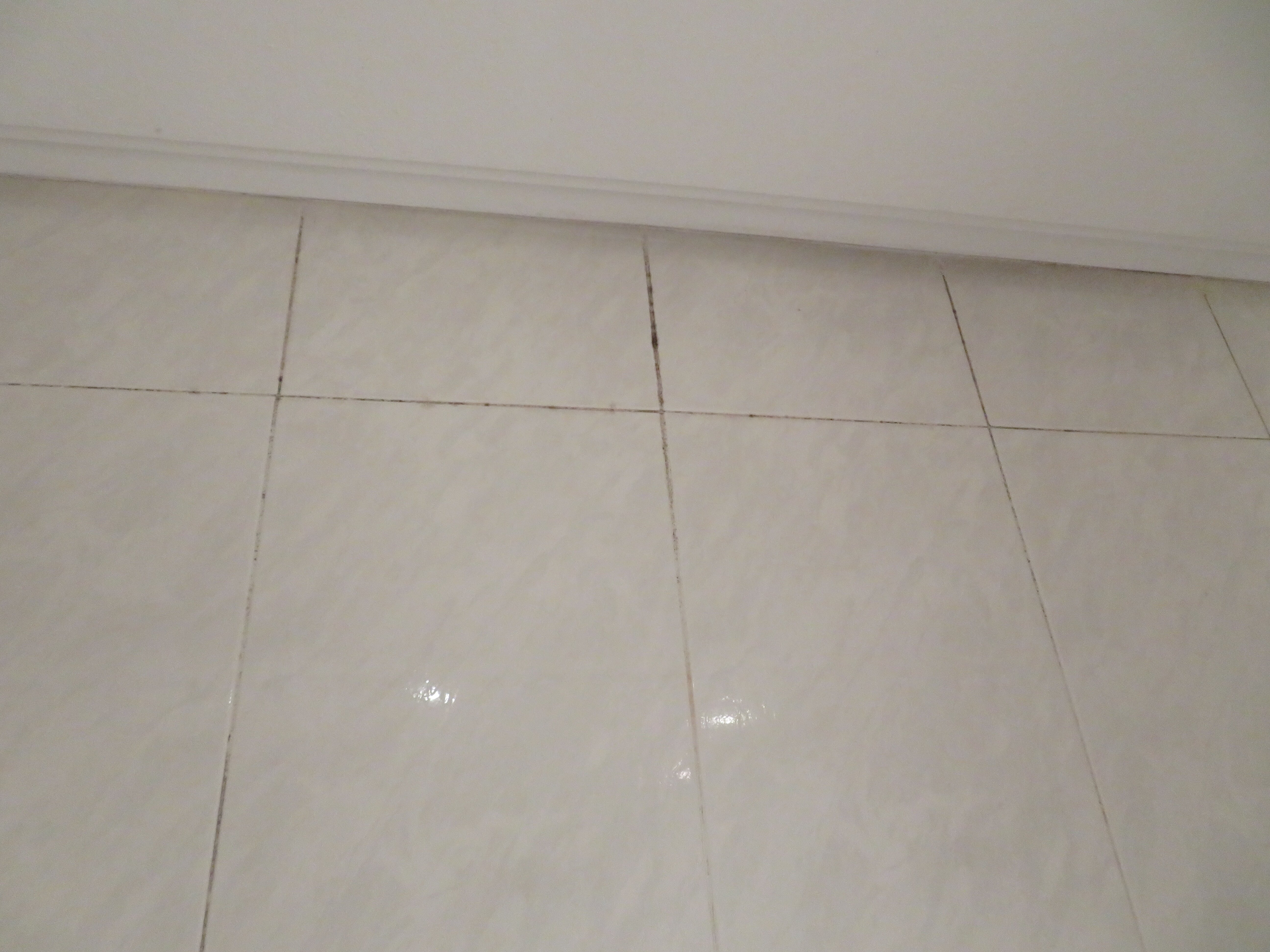 特兰斯兰提克酒店-浴室