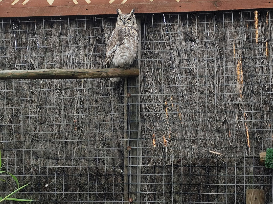 Jungle City-图尔奈必去景点