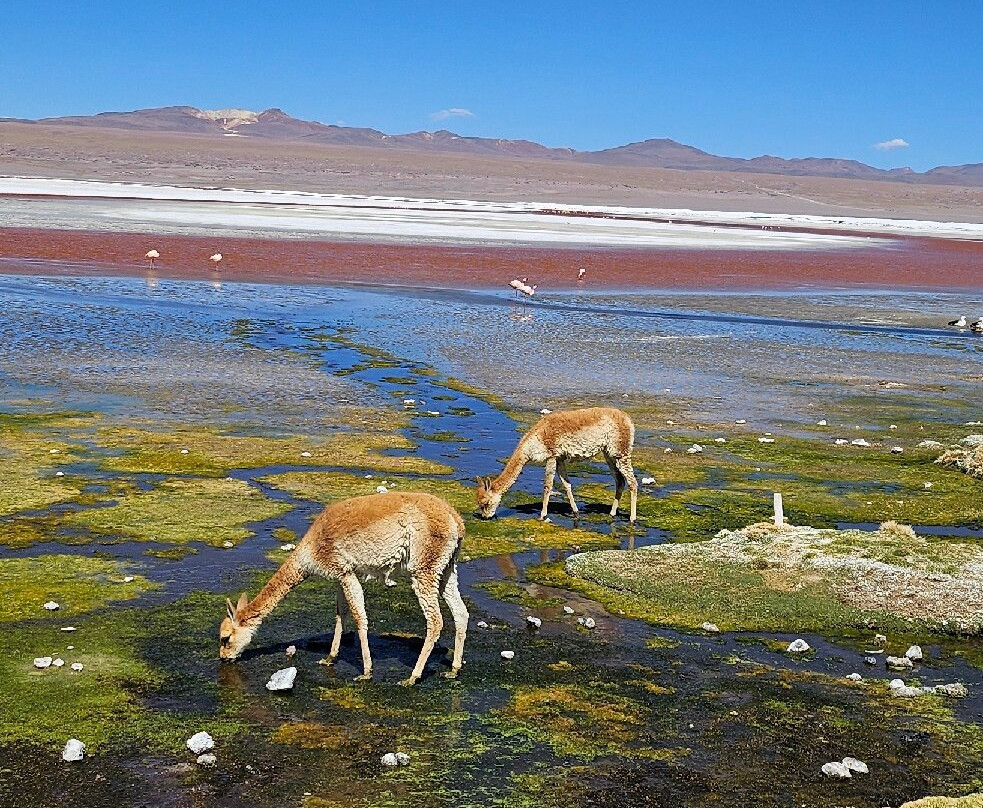 World White Travel-圣佩德罗-德阿塔卡马必去景点