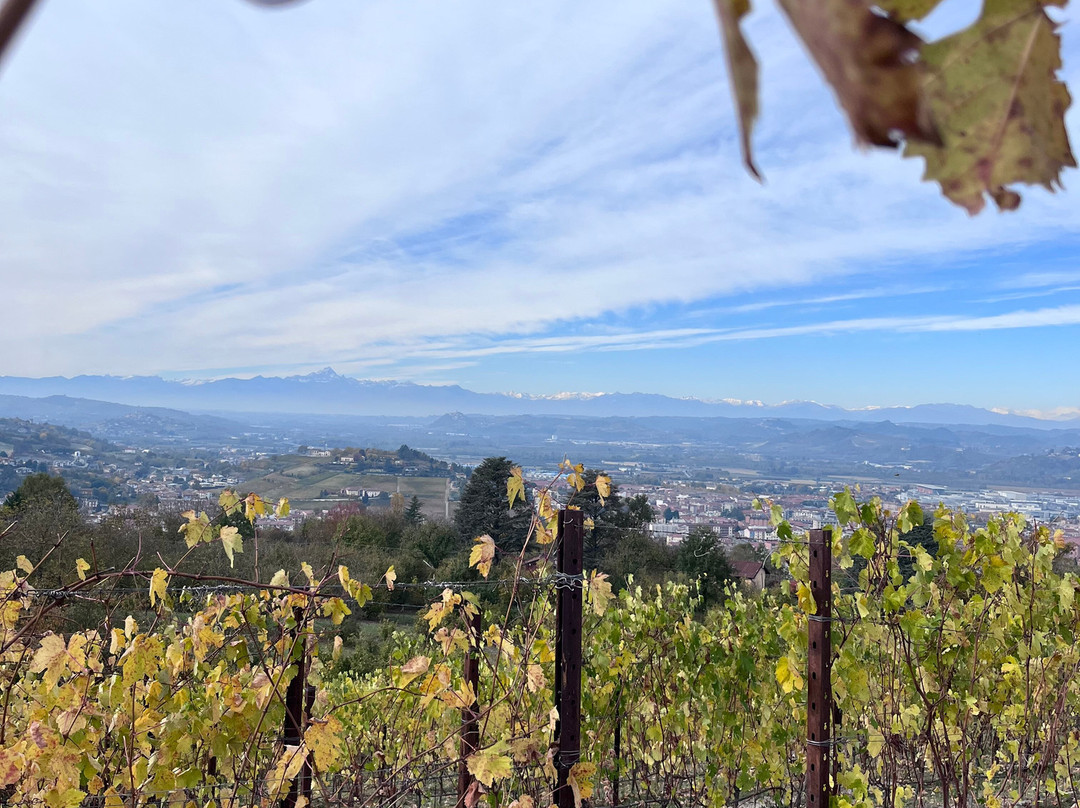 Abellonio - Cascina Piccaluga-阿尔巴必去景点