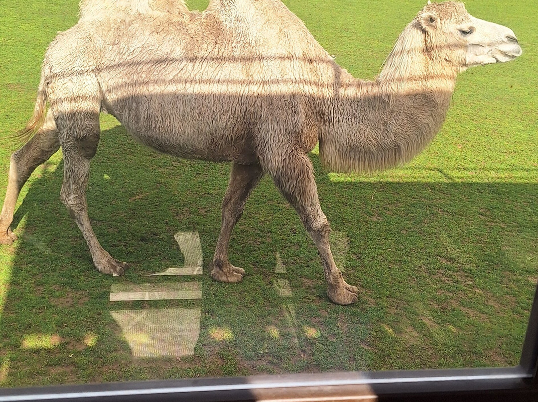 Planète Sauvage-Port-Saint-Pere必去景点