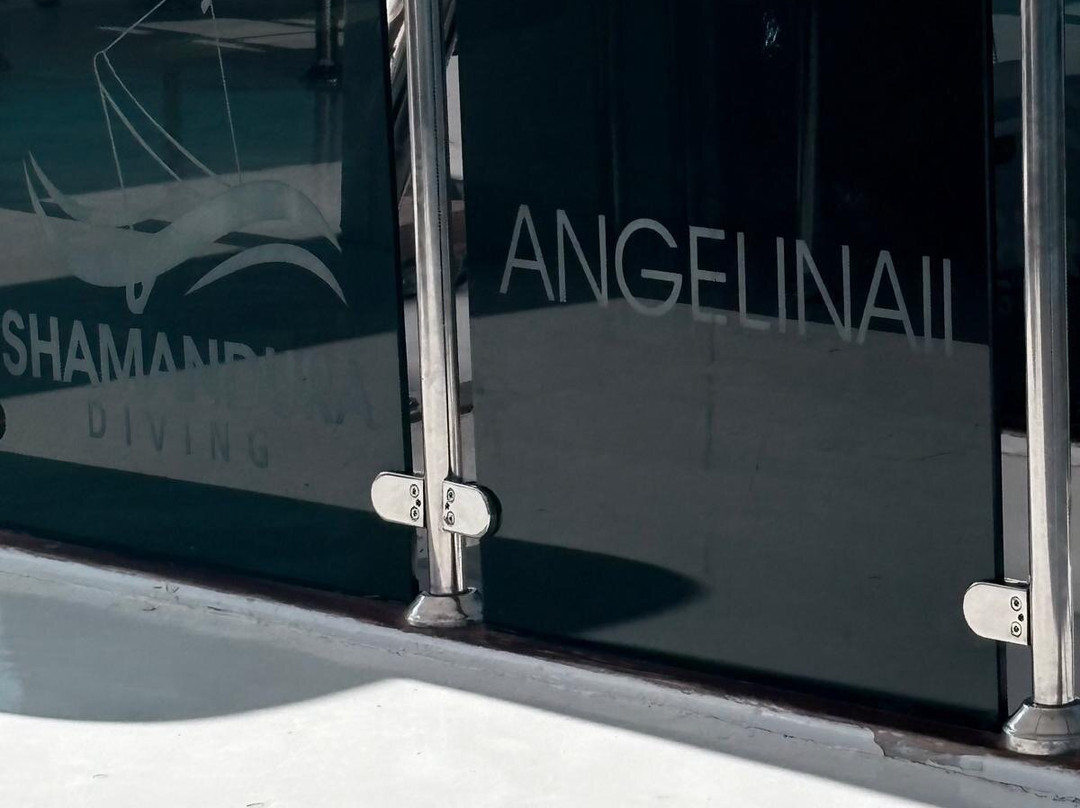 VIP Diving College-沙姆沙伊赫必去景点