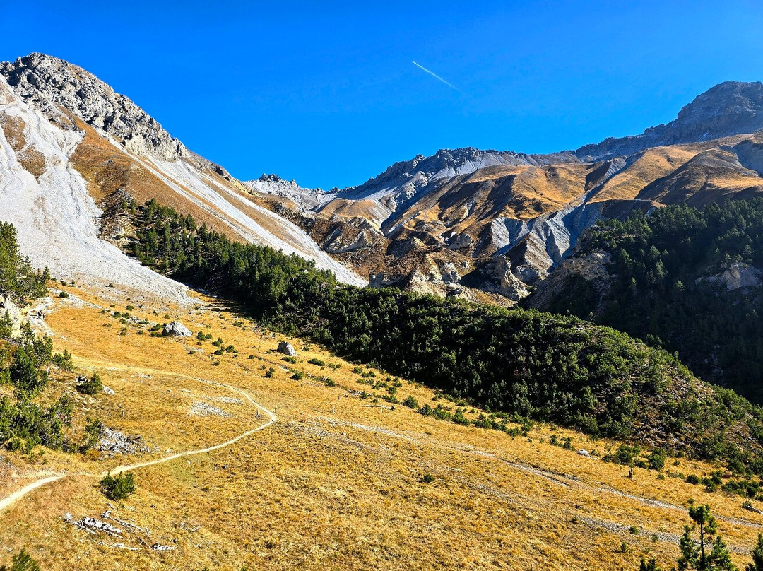 Swiss National Park (Parc Naziunal Svizzer)-Zernez必去景点