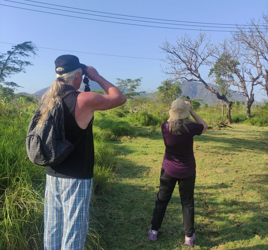西巴厘岛国家公园-巴厘岛必去景点