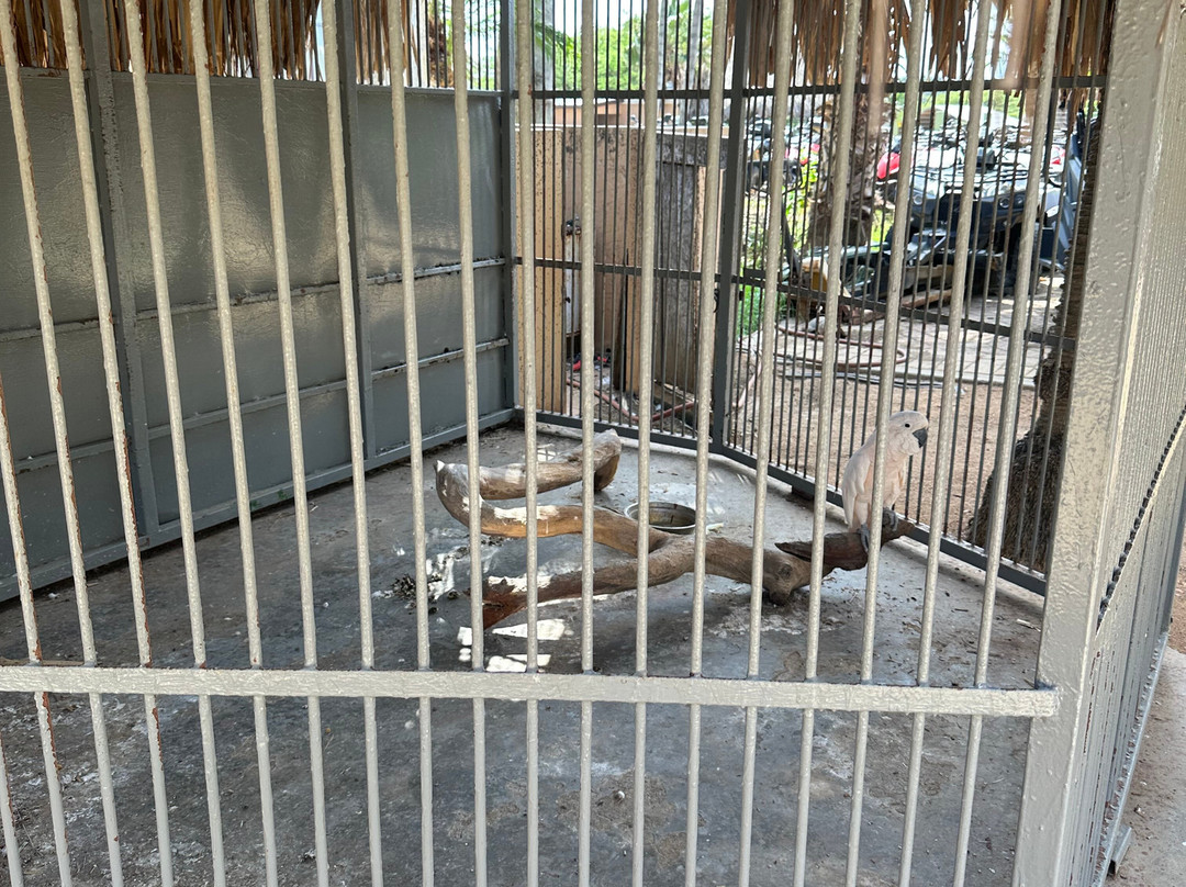 Philip's Animal Garden-Noord必去景点