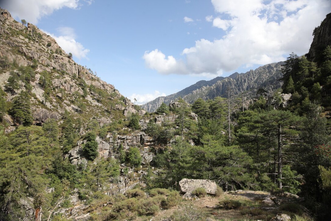 Gorges De La Restonica-科西嘉必去景点