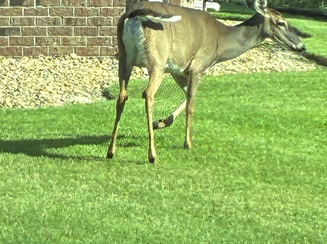 Holden Beach-Holden Beach必去景点
