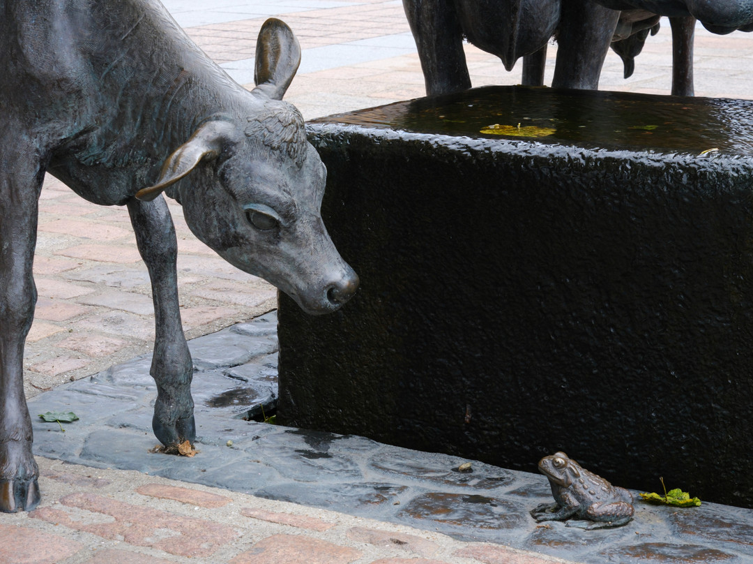 La Vaque de Jerri-St. Helier必去景点