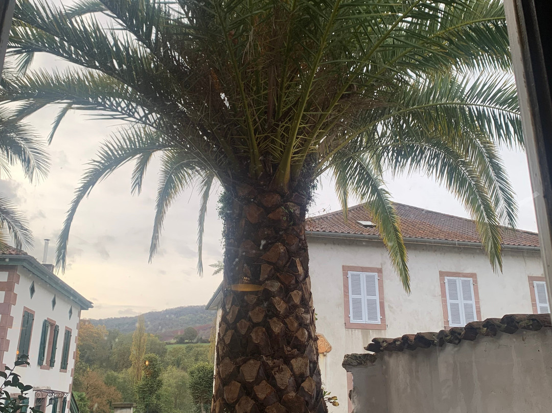 Auberge Mendi Alde Hotel主图