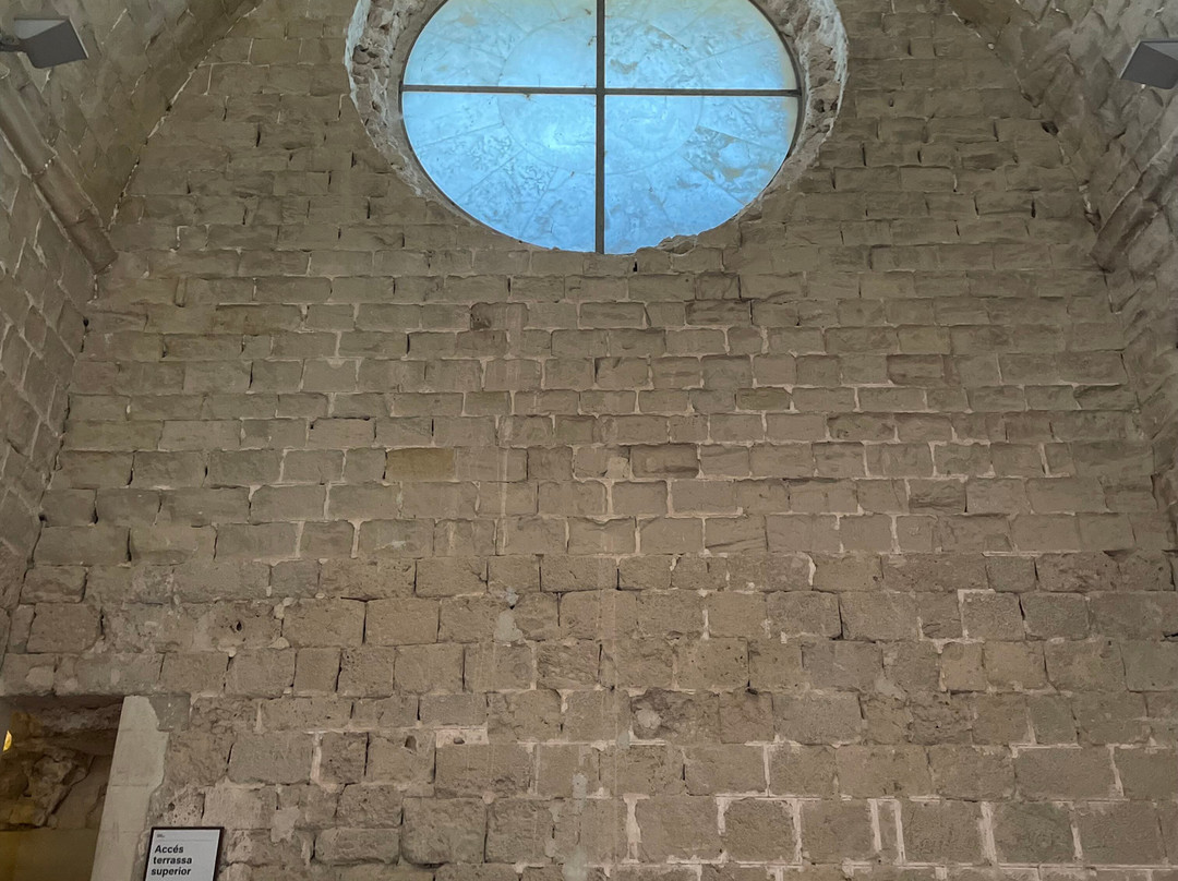 Miravet Castle (Castillo de Miravet)-Miravet必去景点