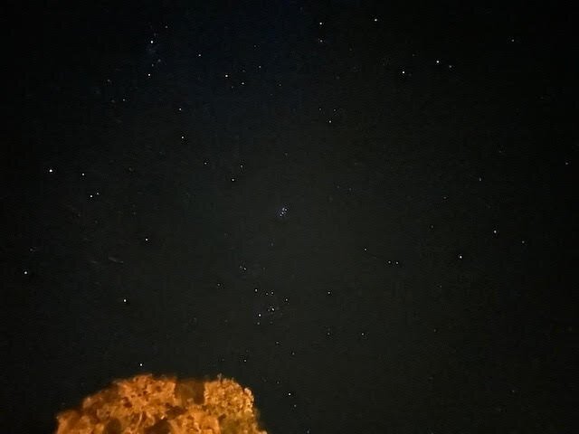 The Mole Resort-酒店景观