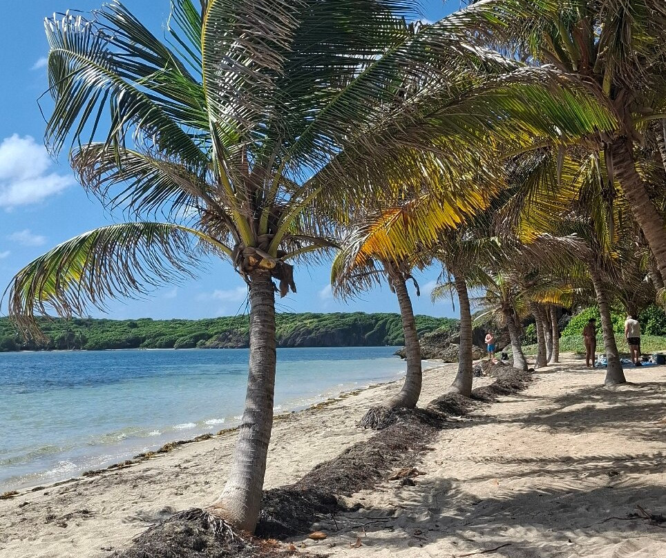Anse Michel-Sainte-Anne必去景点