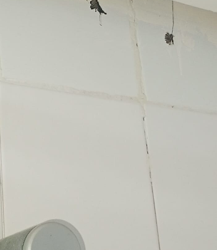 Miramar Golf & Spa主图