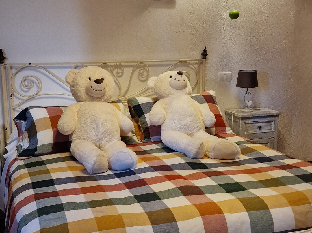 La Bandita Country Hotel主图