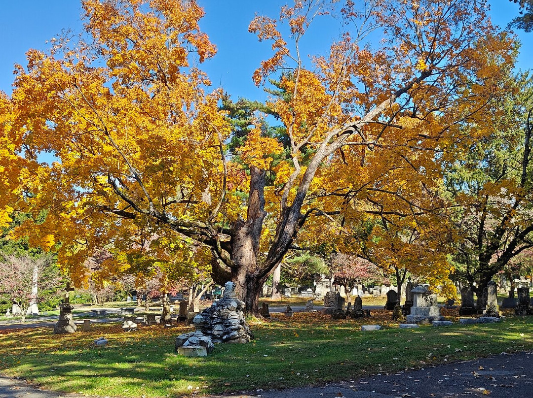 Lexington Cemetery-列克星敦必去景点